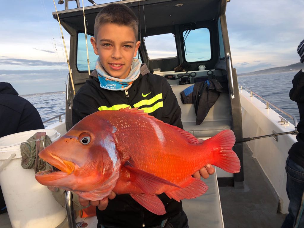 Aerial view Plettenberg Bay