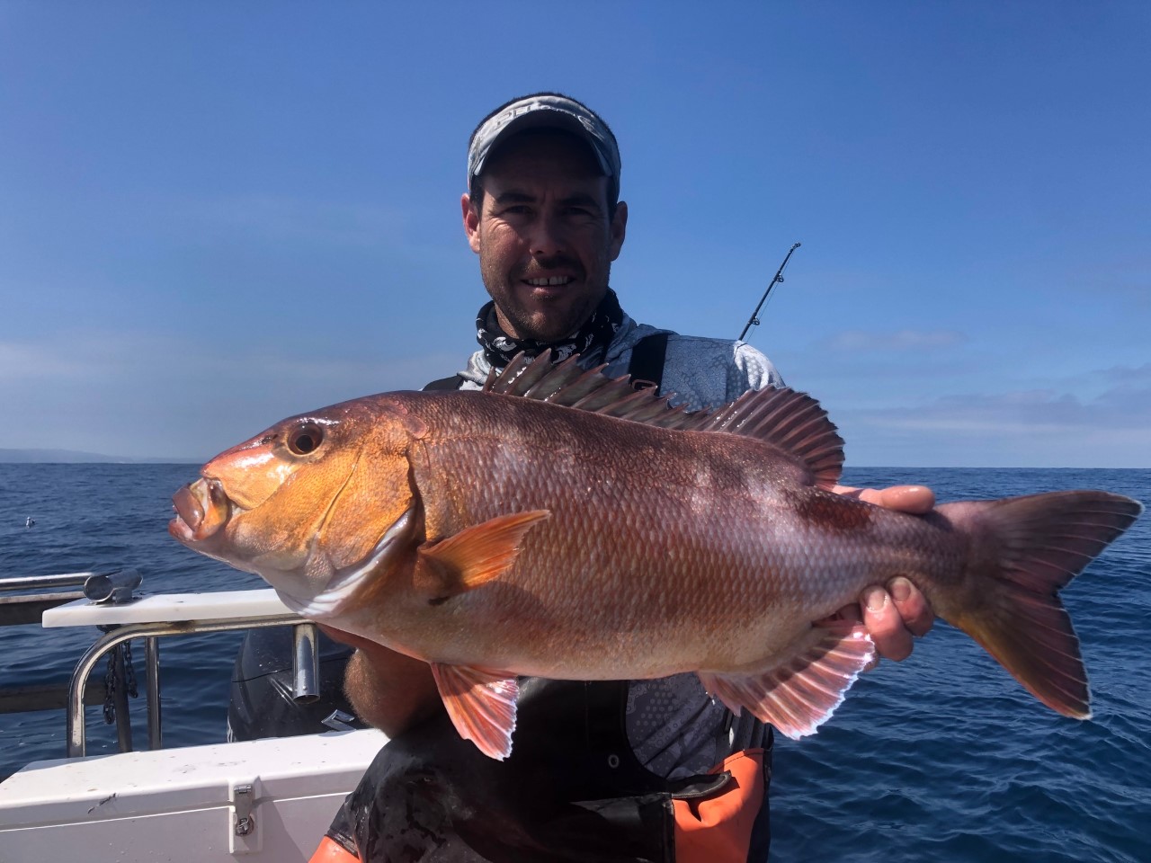 Catch of the day Plett